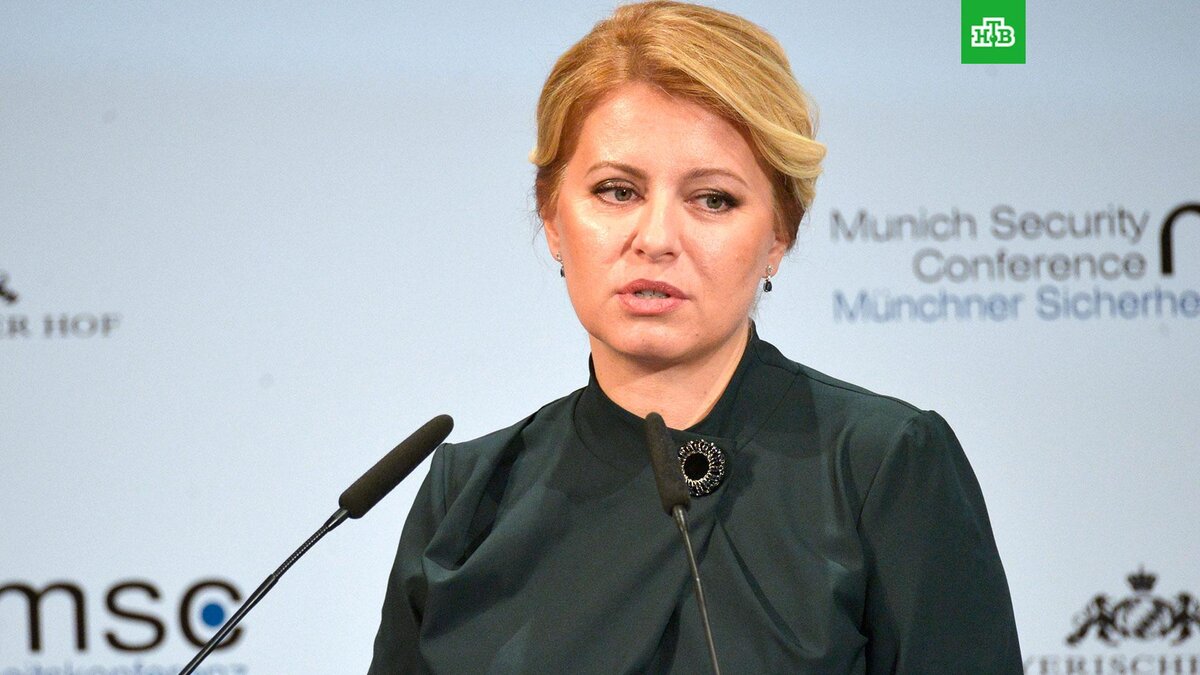    Фото: РИА Новости © 2023, Алексей Витвицкий