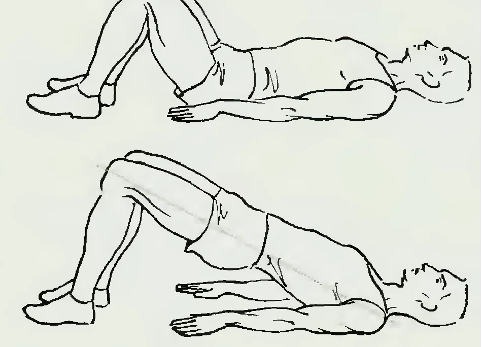 Упражнения лежа на спине. Упражнение поднимание таза. Упражнение мостик лежа на спине. Лежа на спине ноги согнуты. Двигай жопой вправо влево