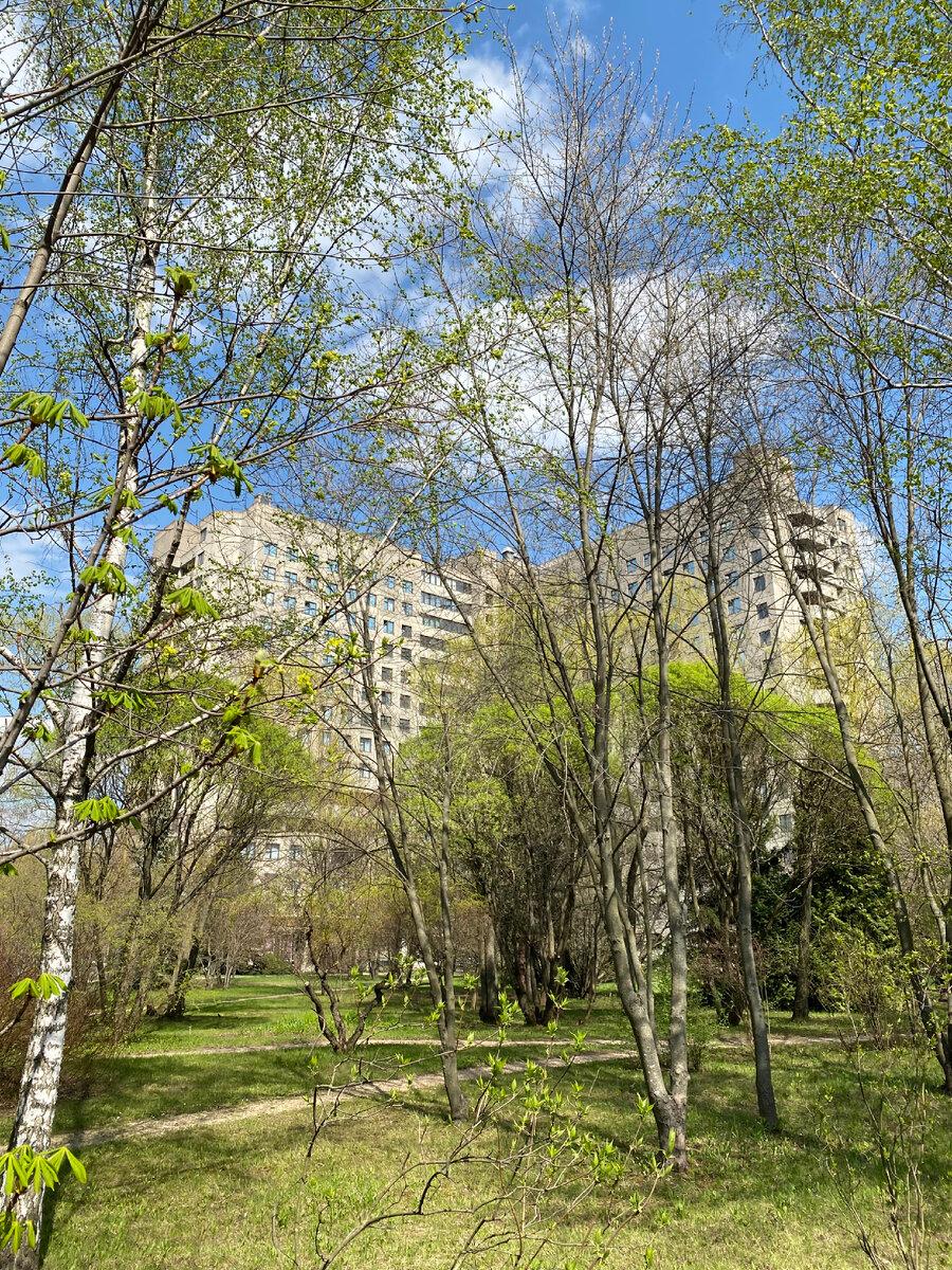 Фото автора: ГБУЗ Госпиталь для ветеранов войн   N 3 Департамента  здравоохранения города Москвы. 