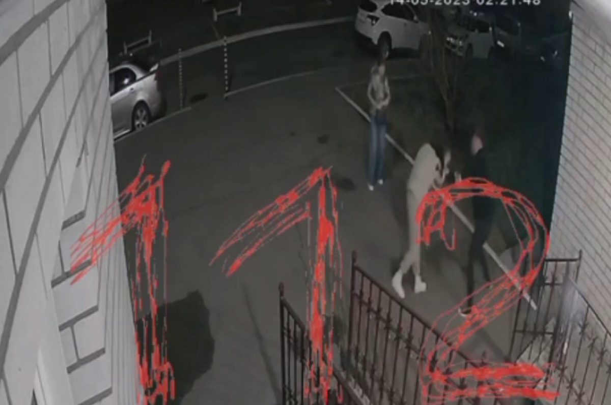    Нападение на найденную мёртвой женщину в Чите попало на камеры (18+)