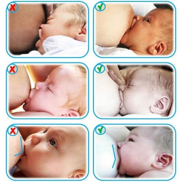 На иллюстрациях хорошо видны различия между правильным и неправильным захватом. ⠀ 