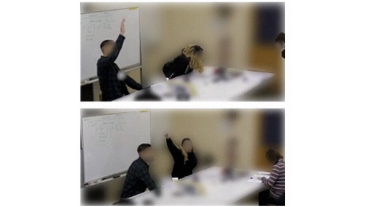 Observing whiteness in introductory physics: A case study