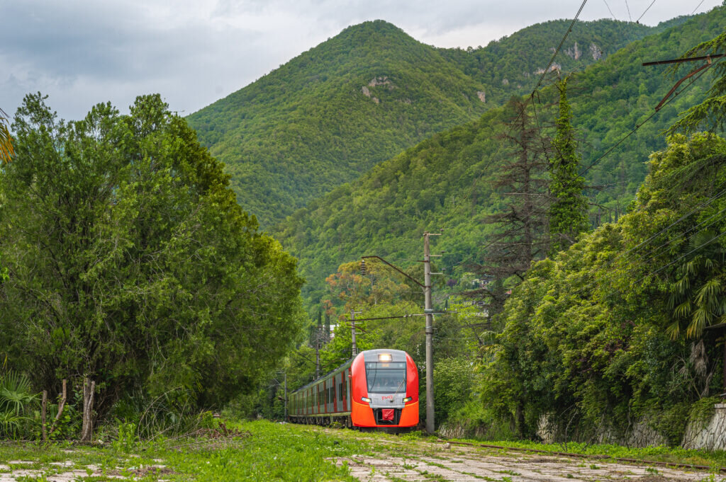 Ласточка сочи краснодар фото салона