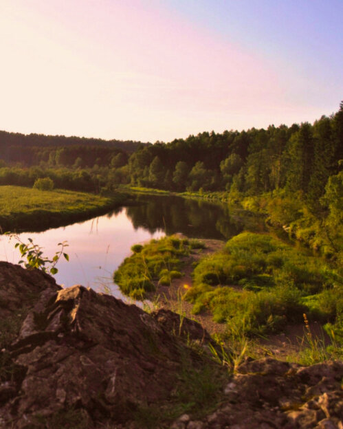 Парк Оленьи Ручьи: свидетель природы и истории