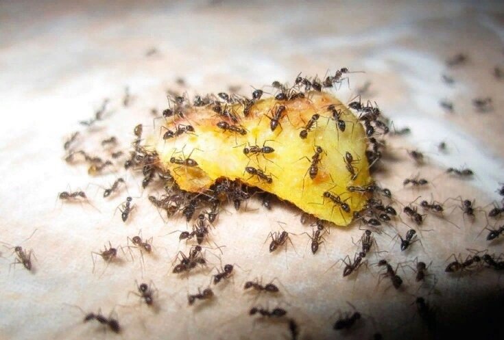 Создать карусельДобавьте описание