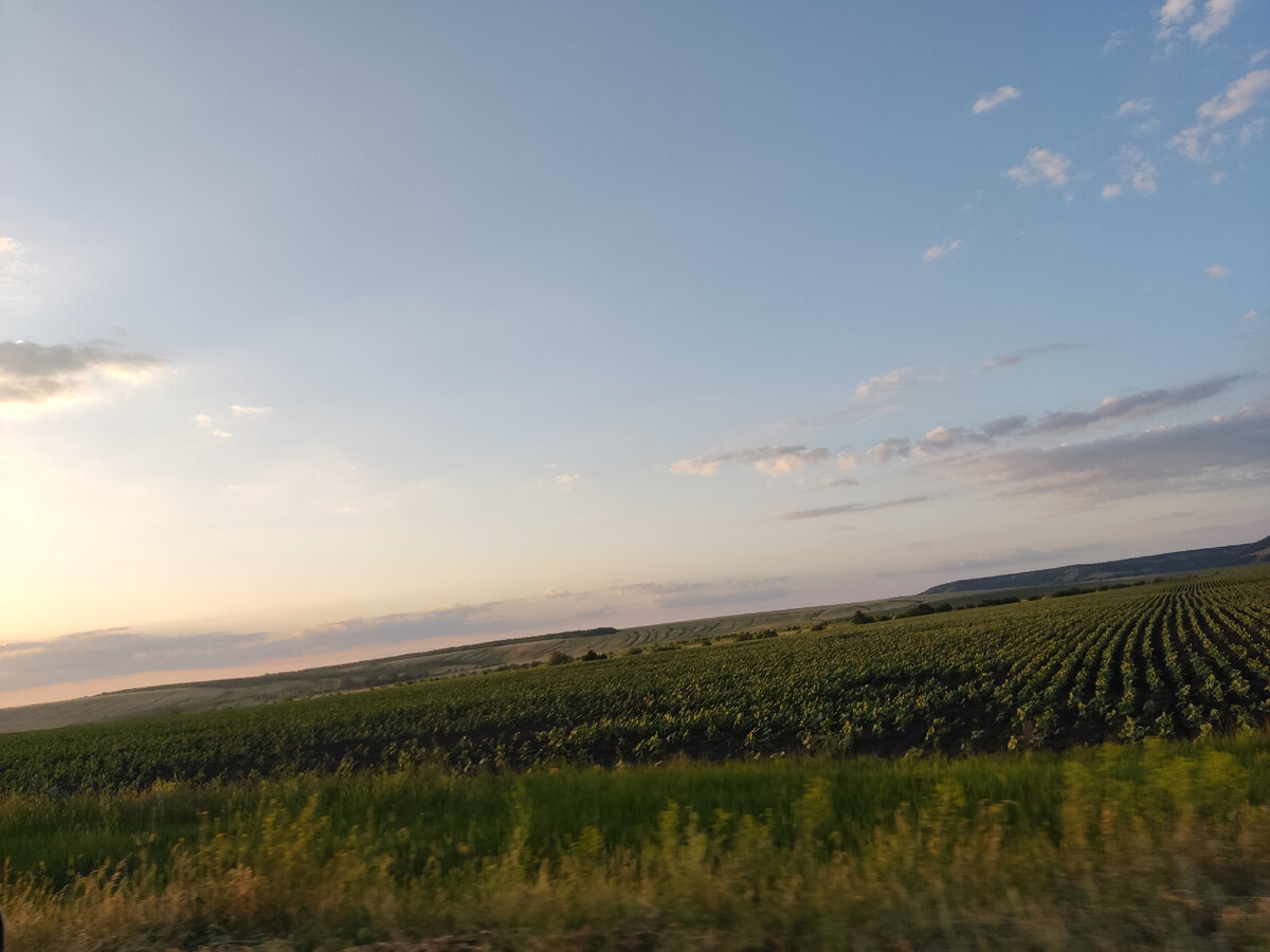 Это фото сделано во время поездки к родителям в прошлом году