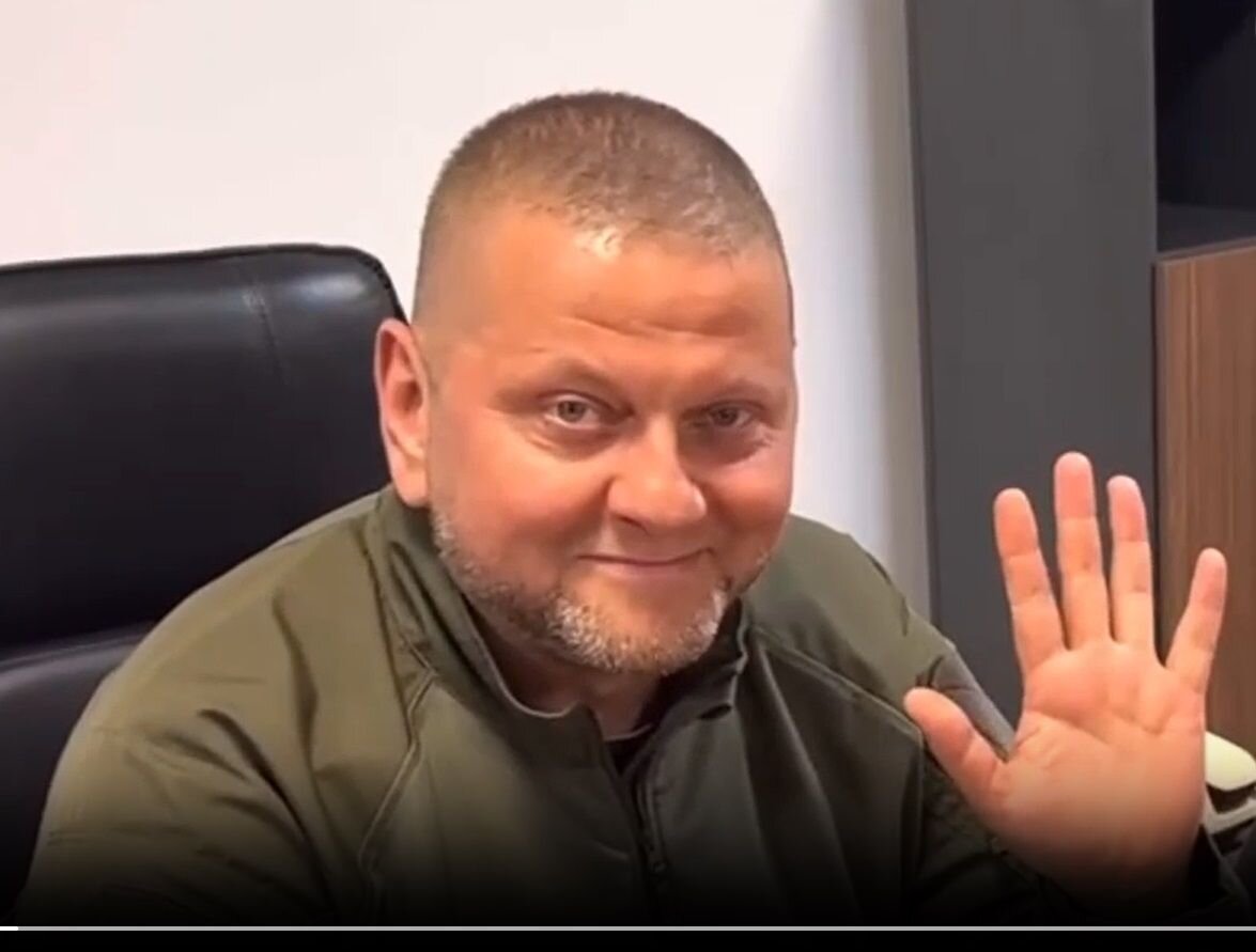    Валерий Залужный Кадр из видео. МО Украины