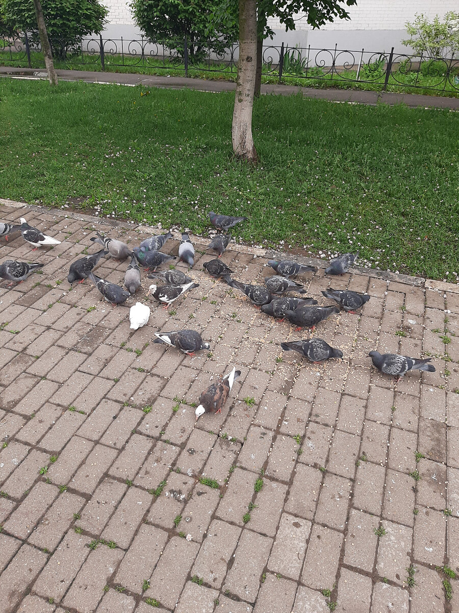 Фото: https://www.litres.ru/author/sergey-vasilevich-kovalchuk/ 