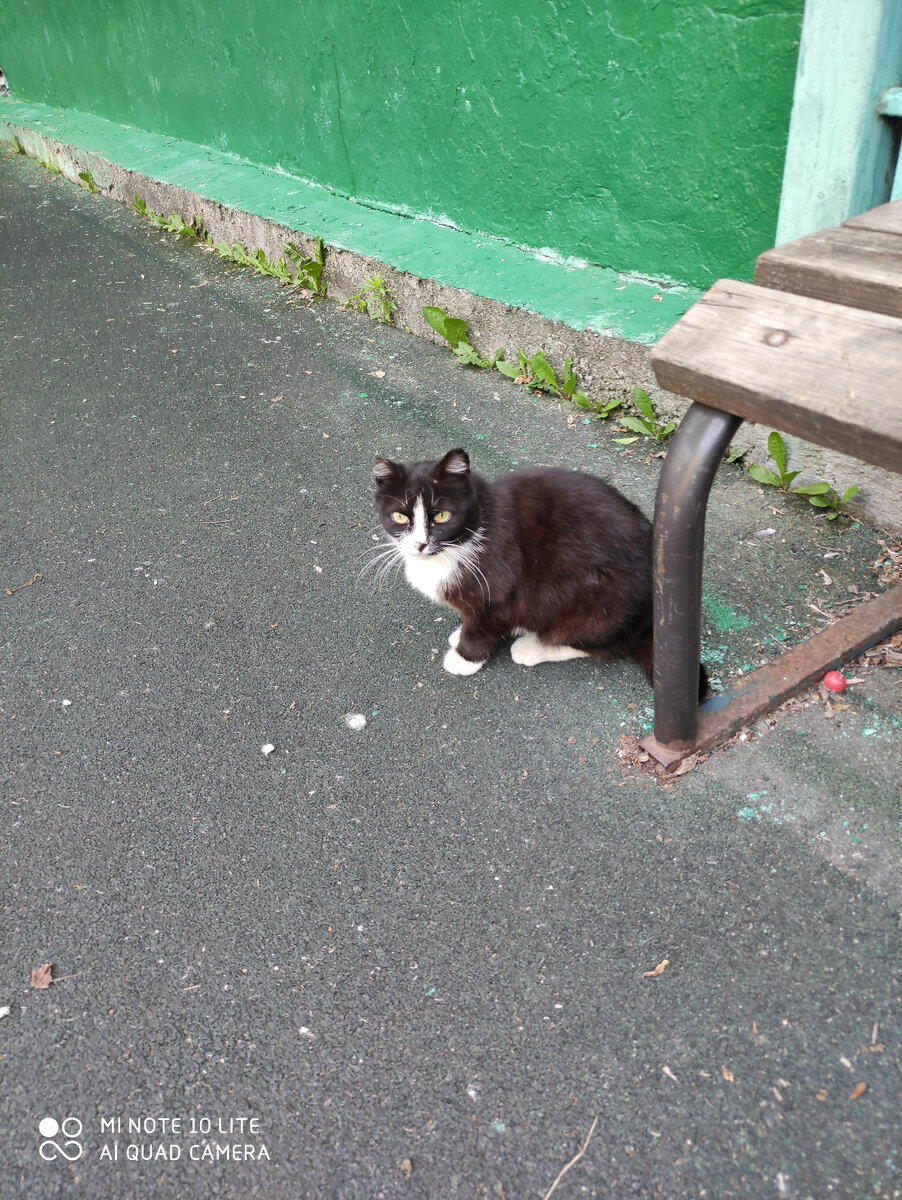 Маленькая Брюшка у теннисной стенки