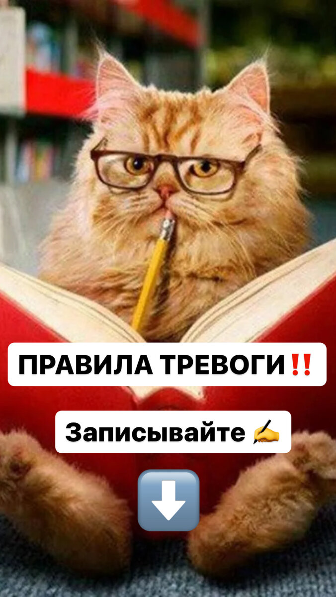 Из личного архива