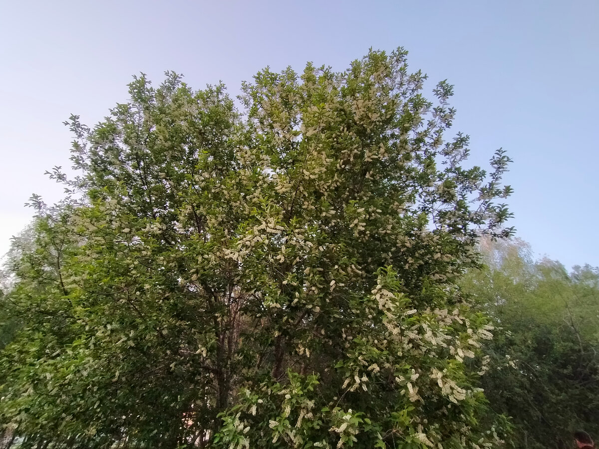 И снова просто для иллюстрации