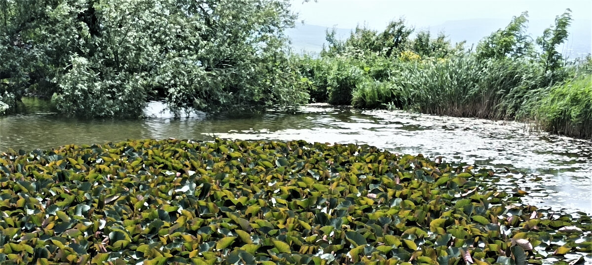 Монастырское озеро