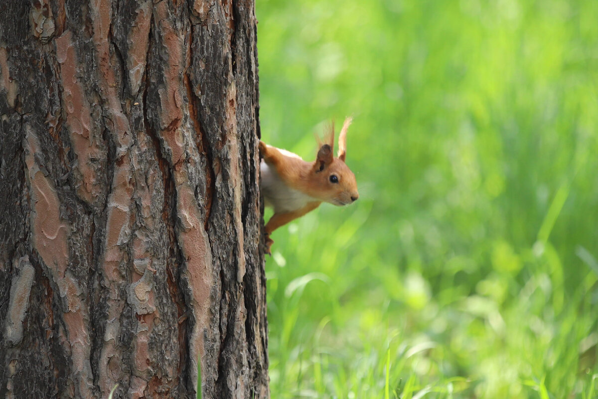 Всем привет!)