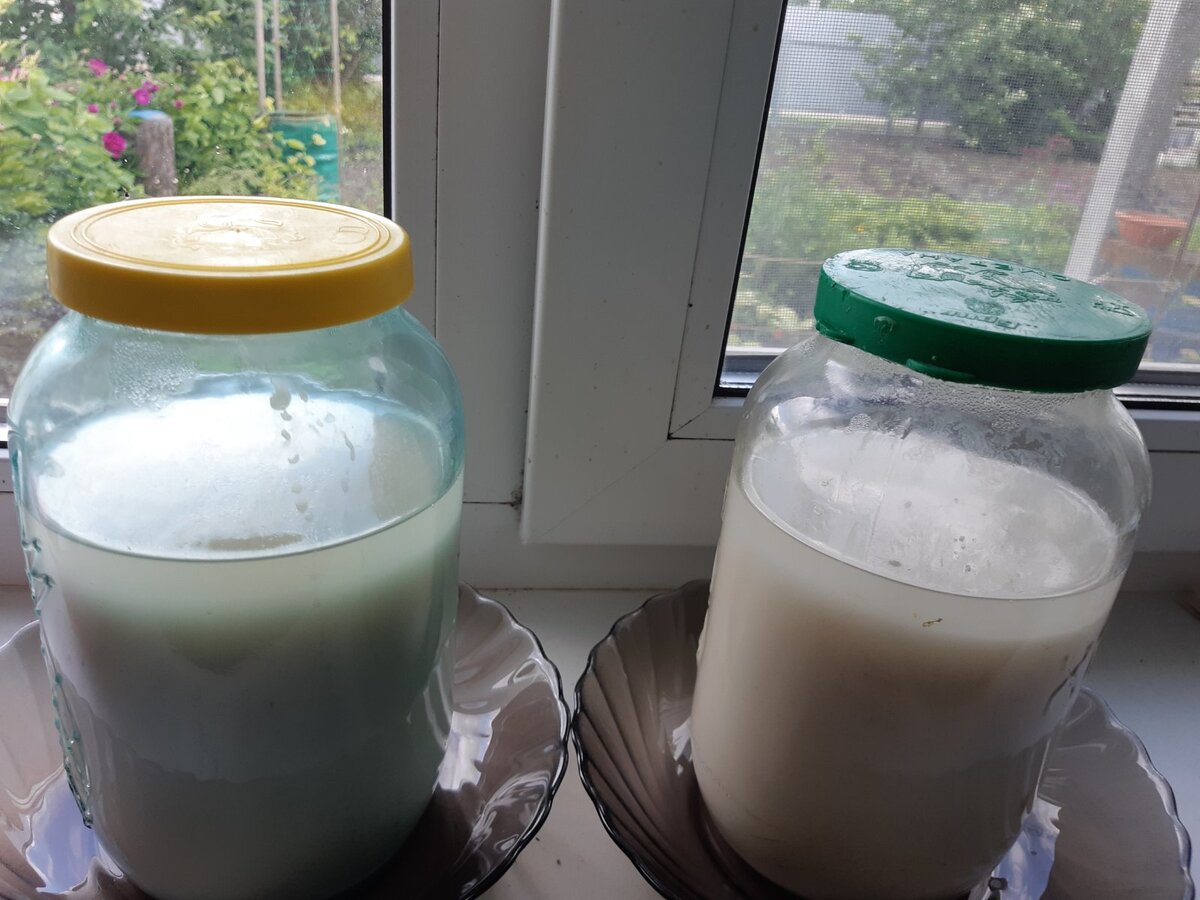 Ыото автора