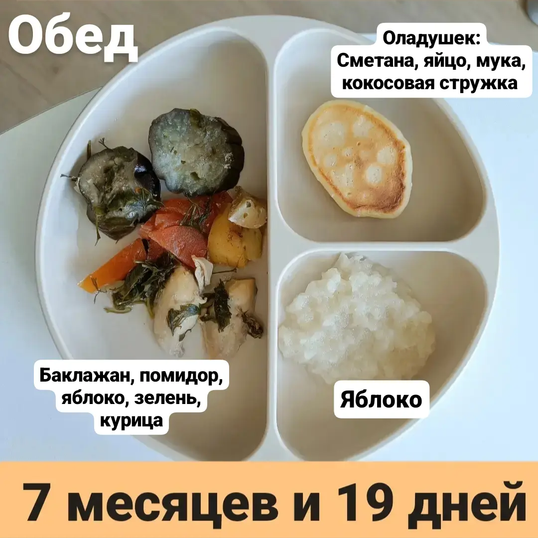 Пример тарелки в 7 месяцев 
