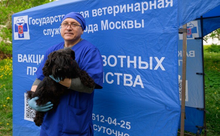 Фото: официальный сайт Мэра Москвы