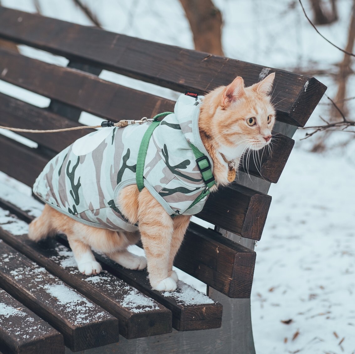 Зимой нужна шубка потеплее