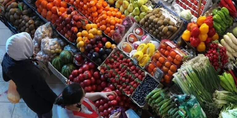 Фото: РИА «Новости» (https://cdnn21.img.ria.ru/images/07e6/04/1d/1786197002_0:320:3072:2048_640x0_80_0_0_88efd9a198db5f7325fe8d03b659a2c4.jpg.webp)