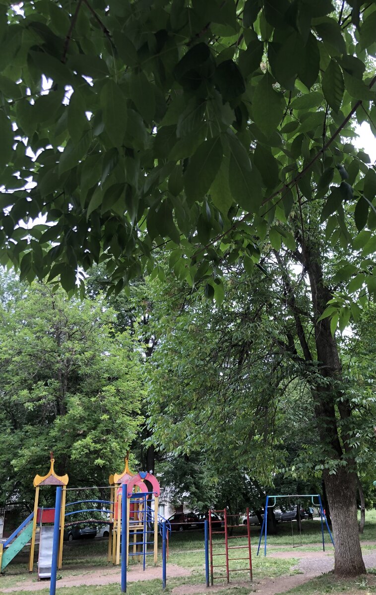 Вот здесь и сидим)))