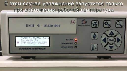 Выведение перепелов в инкубаторе в домашних условиях