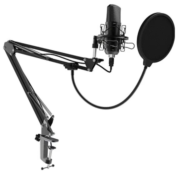 Ritmix RDM-169