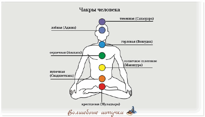 Вы создаёте их сами. У человека есть такой орган — аджна-чакра, одной из функций которого является создание мыслеформ. Любых. А значит, негативных тоже.Большинство людей не умеет правильно пользоваться этим органом (эта тема достойна целого тренинга) и создаёт мыслеформы беспорядочно, даже не подозревая, что создаёт их. Но, как известно, незнание законов, каких бы то ни было, не освобождает от ответственности. Каждый несет свою ответственность за свои действия или бездействие.