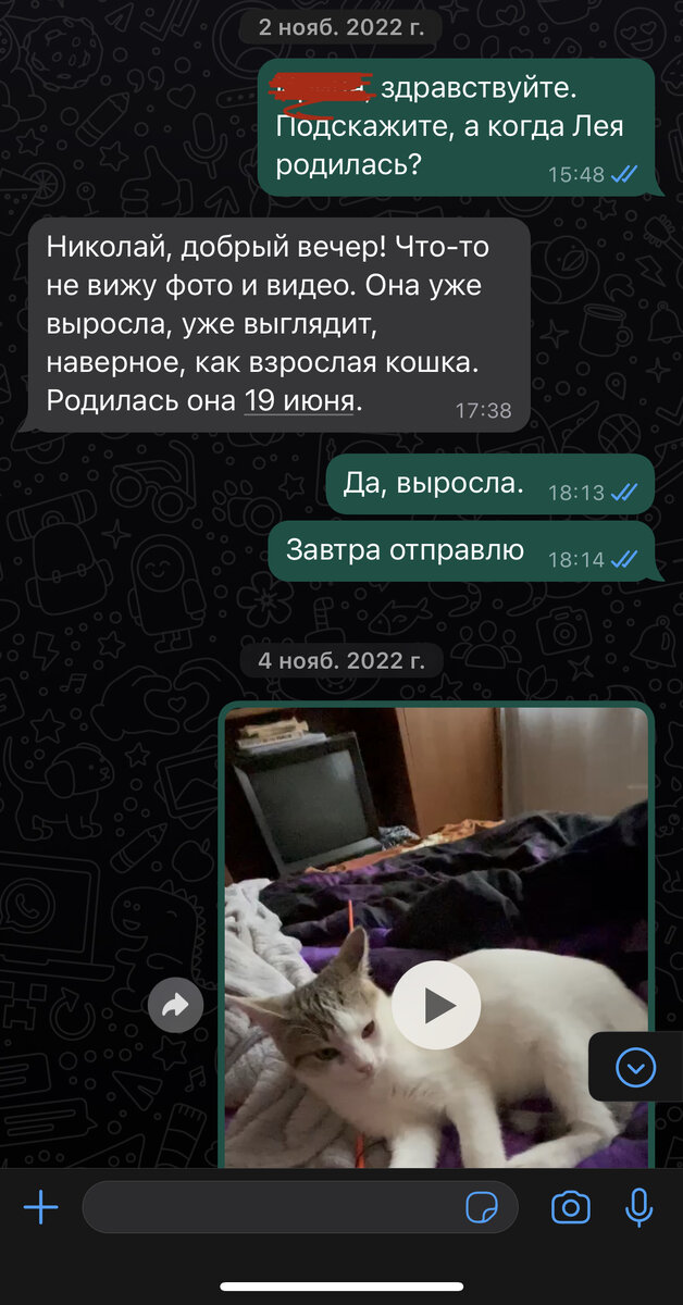 Авторское фото.
