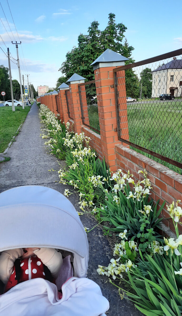 Один из дней мамы в декрете. | Бизнес мама в маленьком городе | Дзен