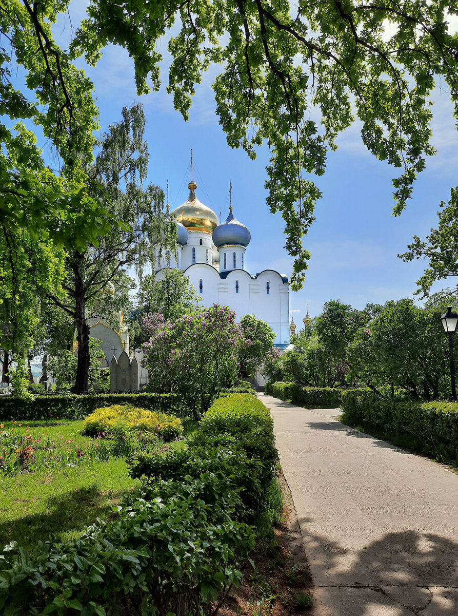 Фото ph_zakharenkova 2022, Москва, Новодевичий монастырь