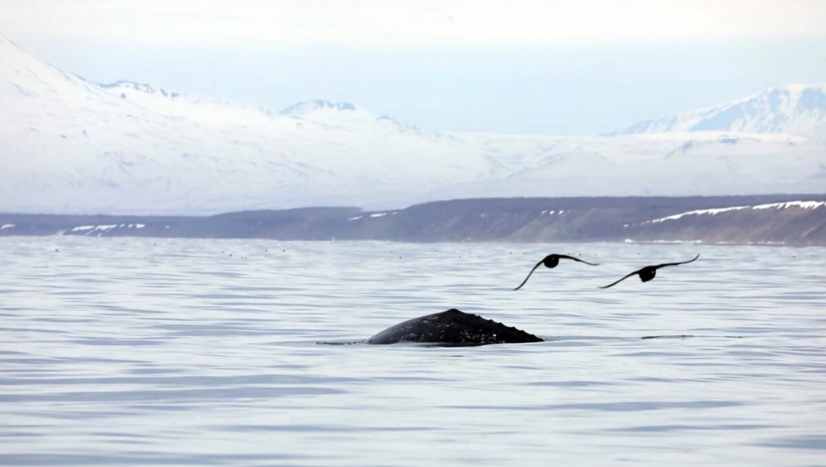 Фото Евгении Волковой