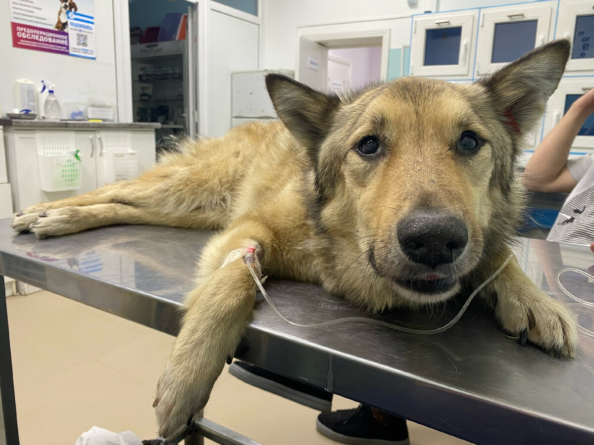 В первую ночь на капельнице