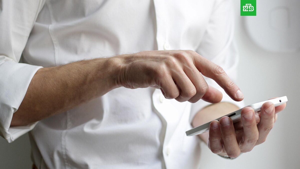    Фото: NordWood Themes / unsplash.com