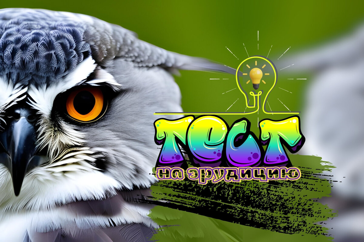 Тест на эрудицию | викторина - проверь свои знания