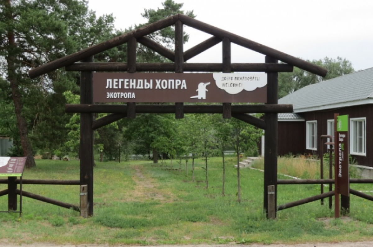    Заповедник под Воронежем сообщил об открытии экотропы «Легенды Хопра»