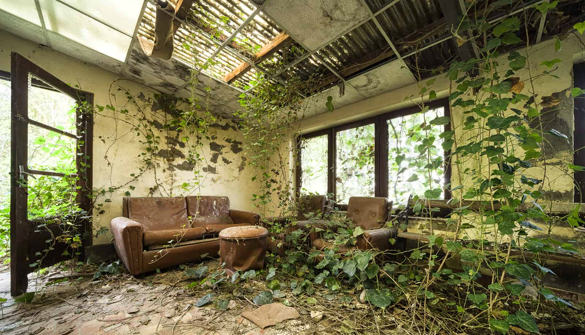 Диваны 1970-х годов и плющ