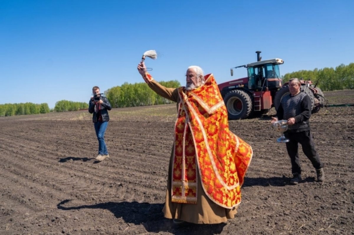 Спк пушкина. Ферма детскосельский. Спк пушкинский омск. Логотип компании спк пушкинский. Спк пушкинский омск.