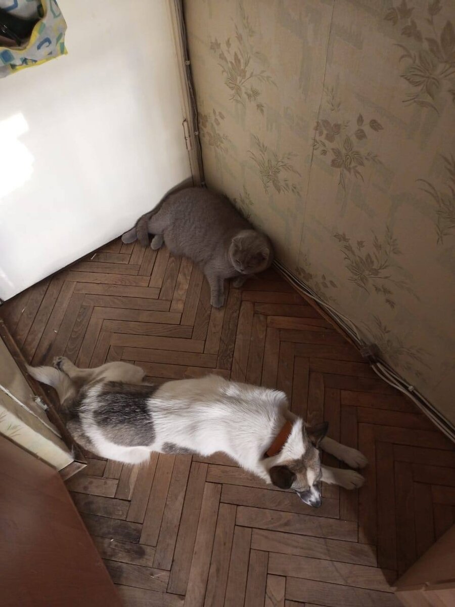-2-2