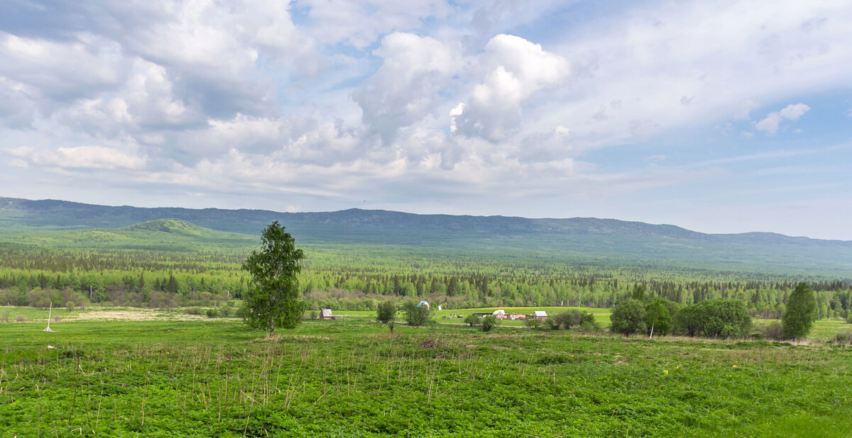 Куштумгинские поляны, вид на хребет Большой Уральский.