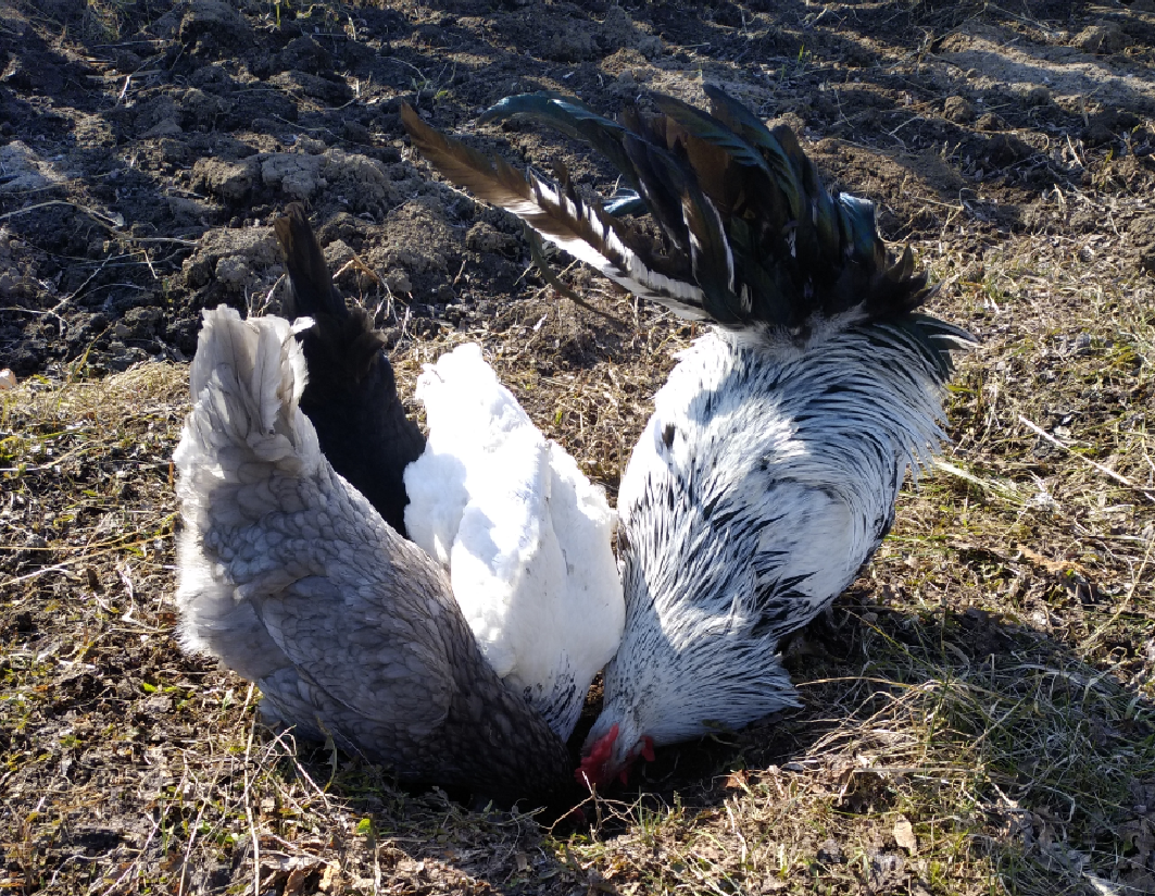 Здесь и далее фото автора
