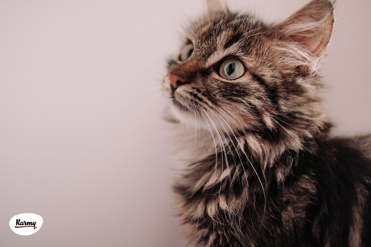 Авторское изображение с использованием картинки с фотостока "Unsplash"