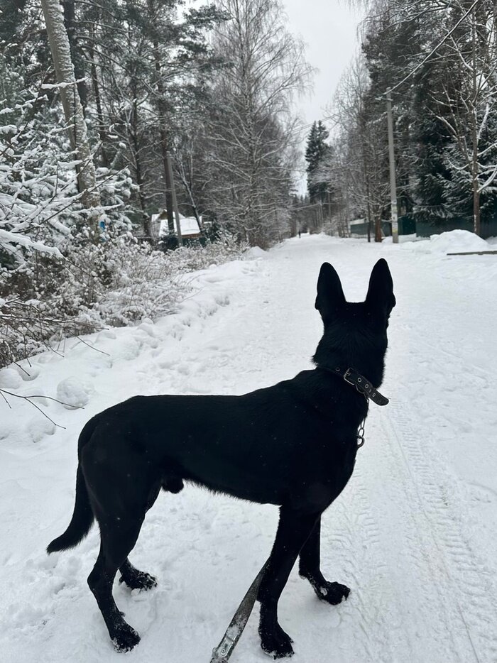 Листайте вправо, чтобы увидеть больше изображений