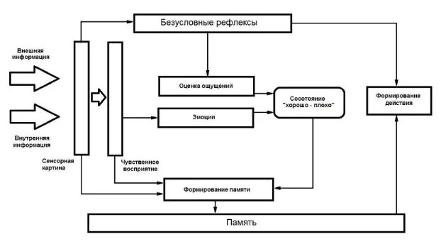 Как бороться с 