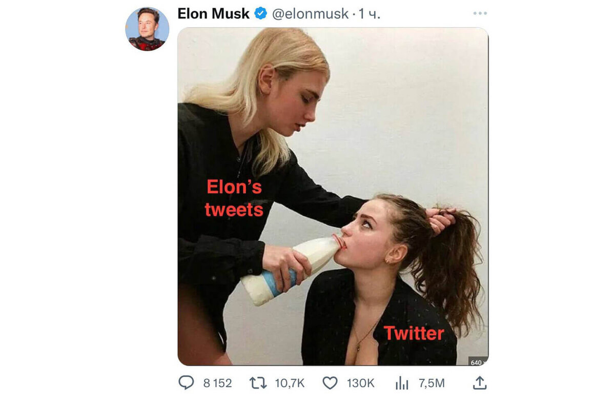    Elonmusk / Twitter