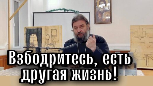 下载视频: Христианство без соли это не Христианство. Отец Андрей Ткачёв