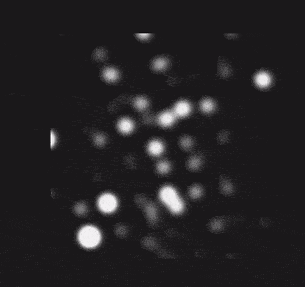 Полученные за последние 16 лет фактические изображения звезд, собранные в одном видео. Их реальное движение ускорено в 32 млн раз (иначе мы бы смотрели эту гифку 15 лет). Отдельные изображения сдвинуты, растянуты до одинакового масштаба и ориентации и покрывают центральную часть цветной анимированной иллюстрации, представленной выше. Источник: ESO/VLT