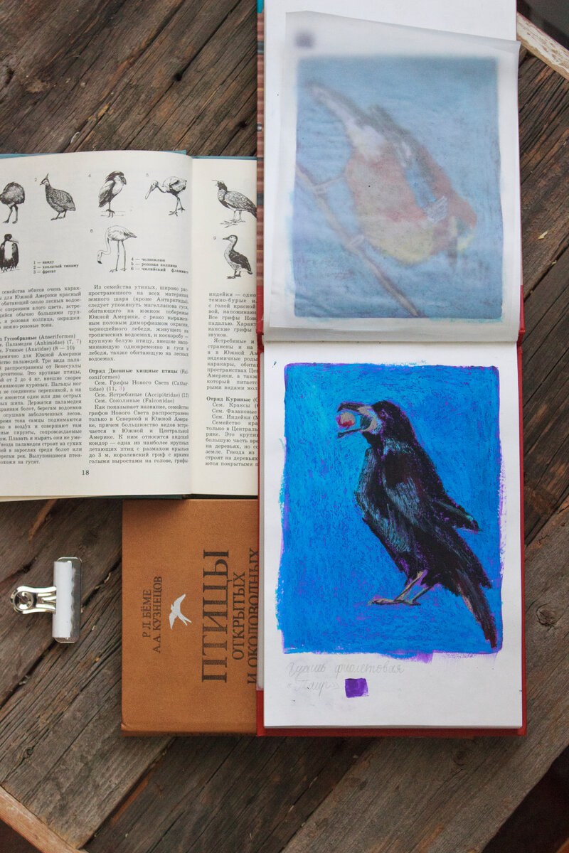 Энтузиазма хватает на разбор старых работ, да и только. Пастельный грач, рисованый левой рукой) Фото и рисунок автора