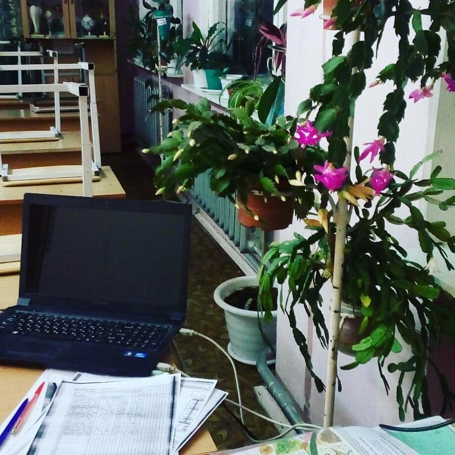 Мой школьный кабинет N 201