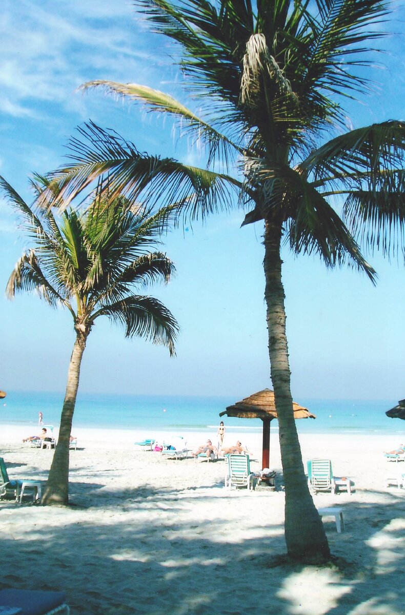 Побережье Персидского залива.