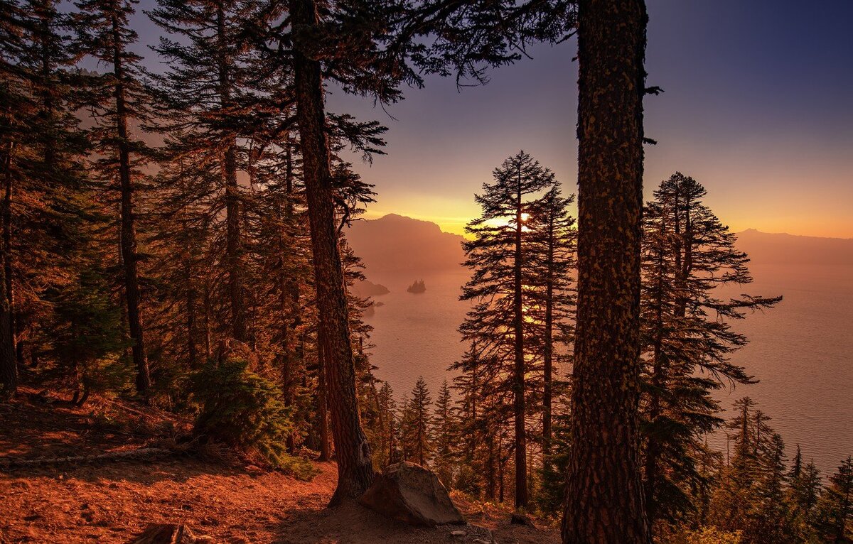 фото из сети Интернет