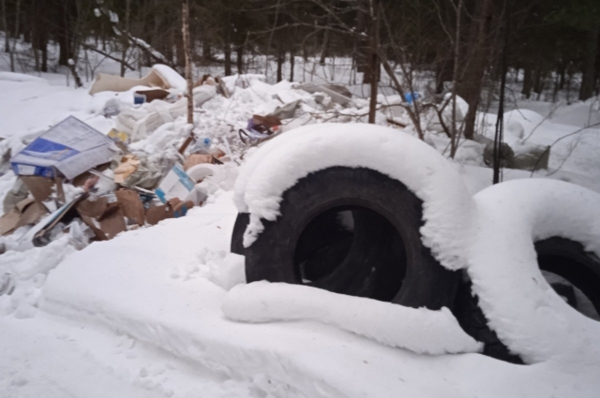    У деревни Трояново под Тверью образовалась стихийная свалка